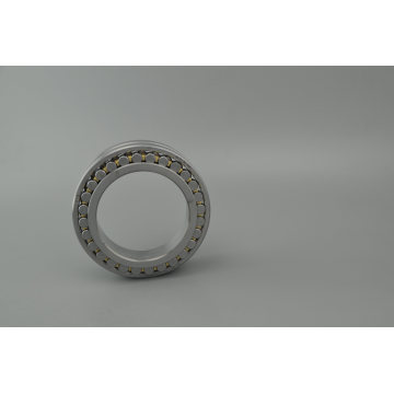 Zys Rolling Bearing Single Row/Double Row Cylindrical Roller Bearing Nn3036